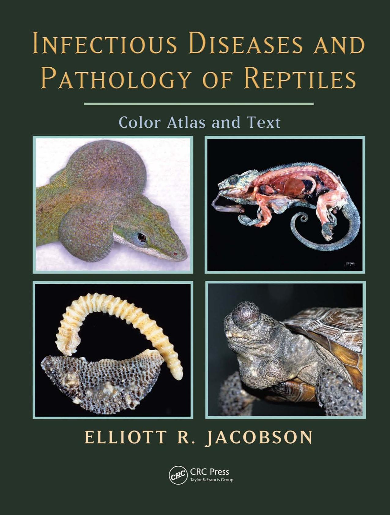Infectious Diseases and Pathology of Reptiles. Color Atlas and Text by Jacobson Elliot J