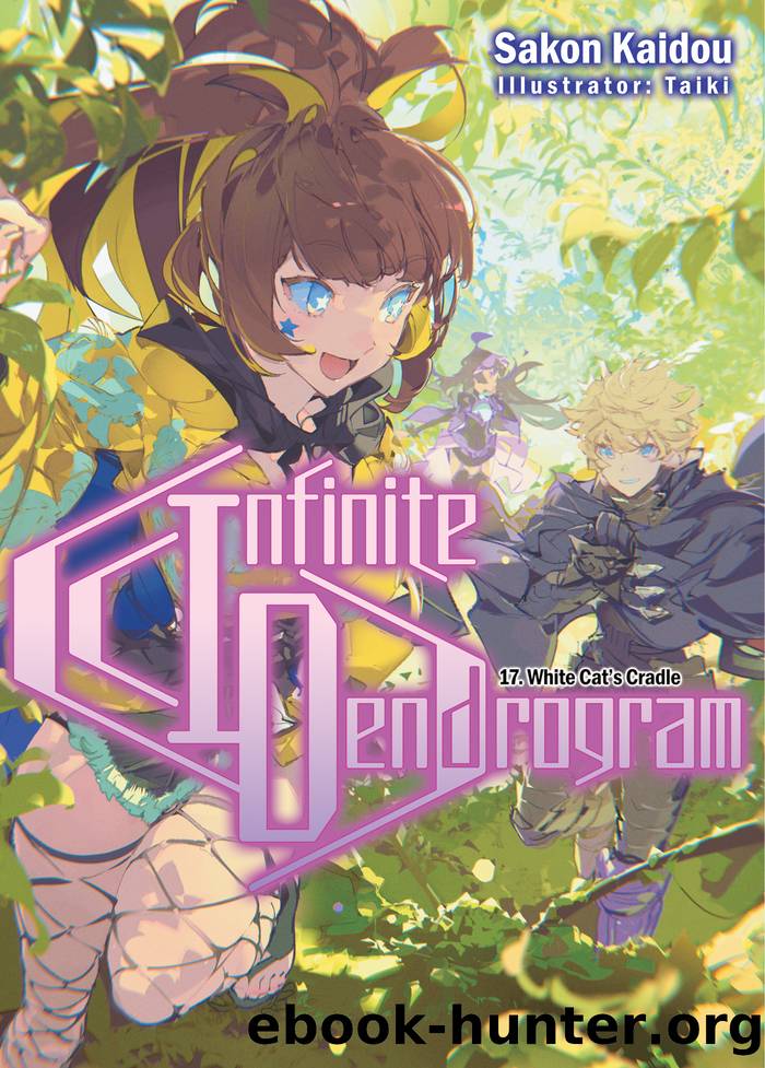 Infinite Dendrogram: Volume 17 by Sakon Kaidou