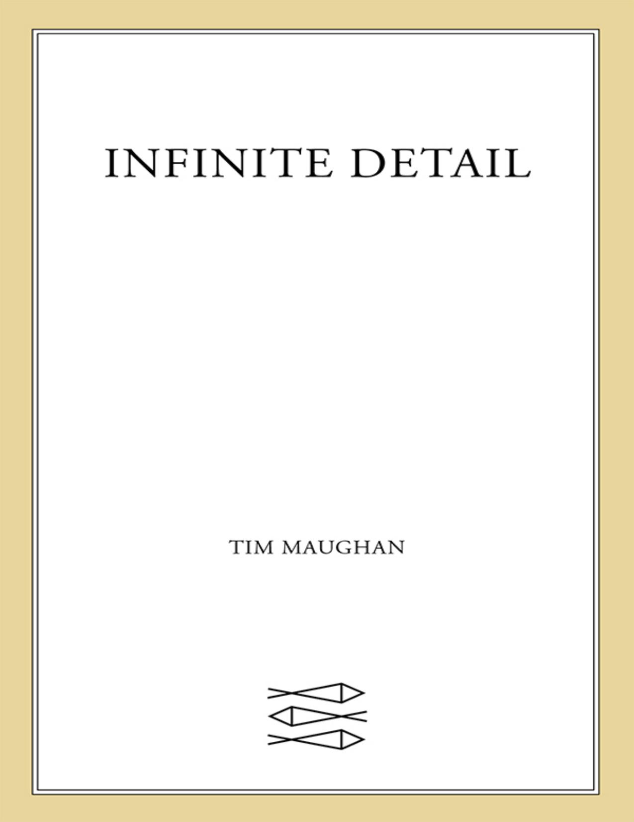Infinite Detail by Tim Maughan