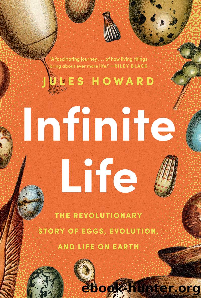 Infinite Life by Jules Howard