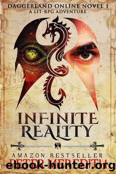 Infinite Reality: Daggerland Online Novel 1 A LitRPG Adventure by Peter Meredith