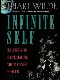 Infinite Self by Stuart Wilde