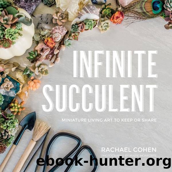 Infinite Succulent by Rachael Cohen