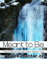 Infinitum Government 2 -Meant to Be by Megan Derr