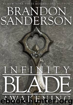 Infinity Blade 01- Awakening by Brandon Sanderson