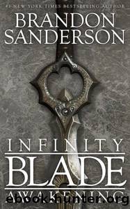 Infinity Blade Awakening by Brandon Sanderson