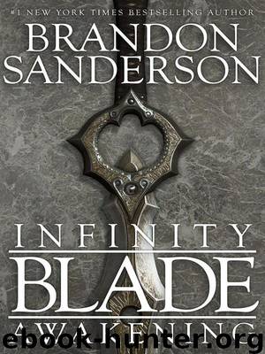 Infinity Blade: Awakening by Sanderson Brandon; Mustard Geremy; Mustard Donald; Ahlstrom Peter; Hurley Simon