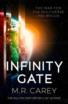 Infinity Gate by Carey M. R