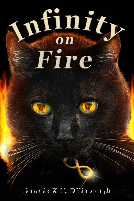 Infinity on Fire: Book 2 of the Dimensional Alliance Series by Bonnie K.T. Dillabough