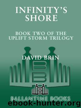 Infinity's Shore by David Brin