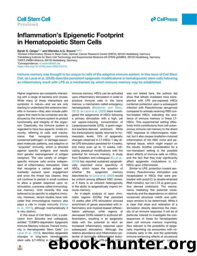 Inflammation's Epigenetic Footprint in Hematopoietic Stem Cells by Sarah S. Geiger & Marieke A.G. Essers