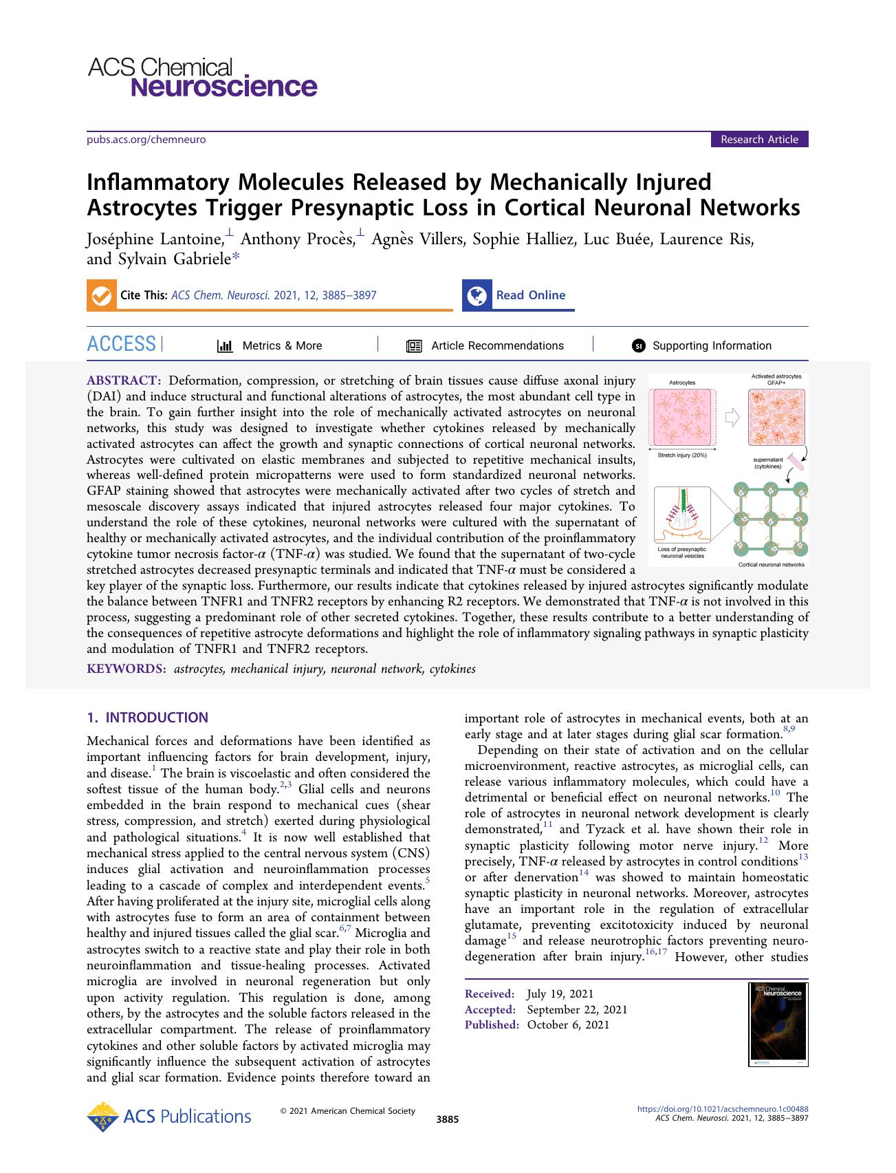 Inflammatory Molecules Released by Mechanically Injured Astrocytes Trigger Presynaptic Loss in Cortical Neuronal Networks by unknow