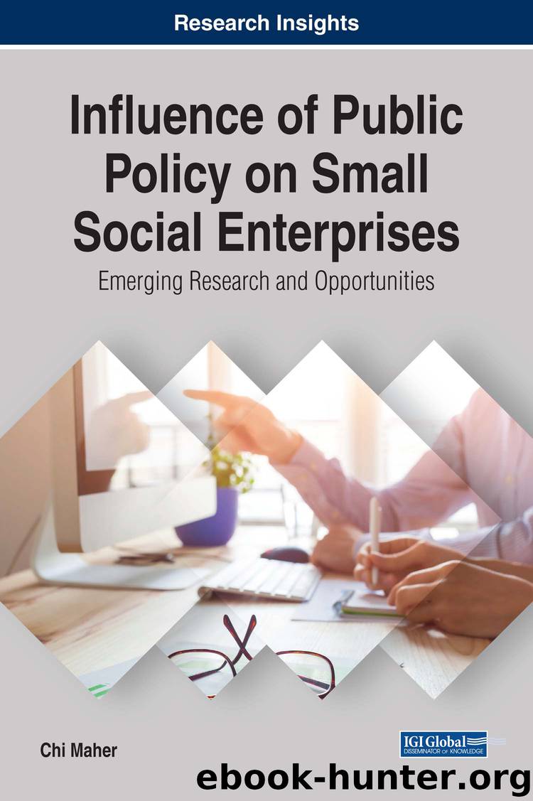 Influence of Public Policy on Small Social Enterprises by Maher Chi
