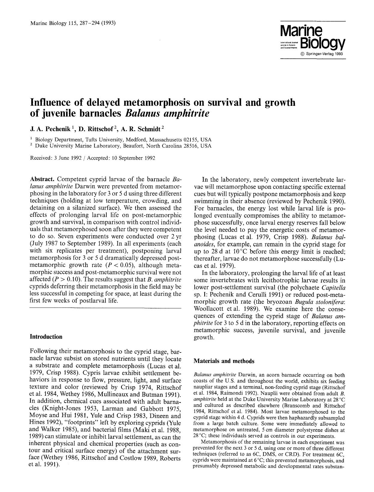 Influence of delayed metamorphosis on survival and growth of juvenile barnacles <Emphasis Type="Italic">Balanus amphitrite<Emphasis> by Unknown