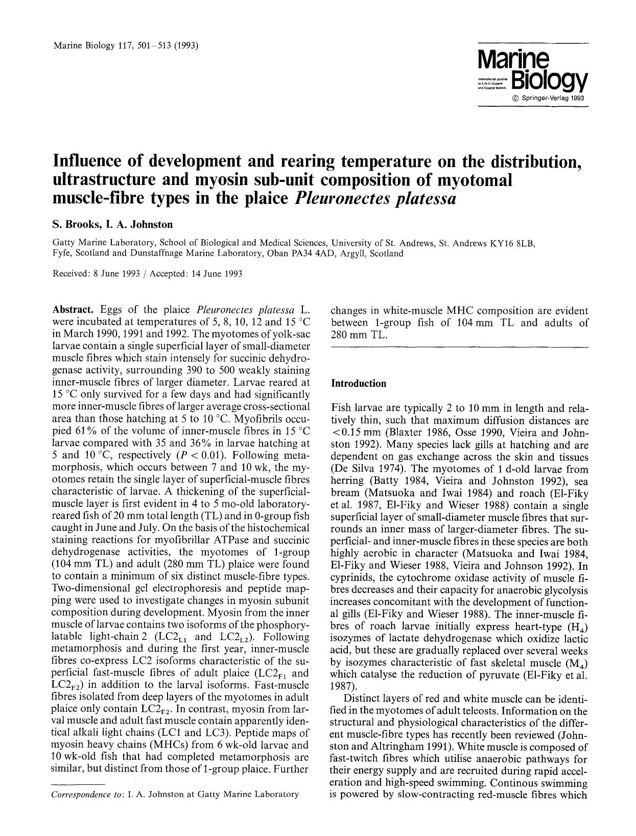 Influence of development and rearing temperature on the distribution, ultrastructure and myosin sub-unit composition of myotomal muscle-fibre types in the plaice <Emphasis Type="It by Unknown