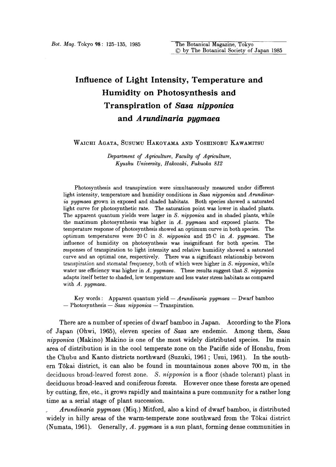 Influence of light intensity, temperature and humidity on photosynthesis and transpiration of <Emphasis Type="Italic">Sasa nipponica <Emphasis> and <Emphasis Type="Italic">Arundina by Unknown