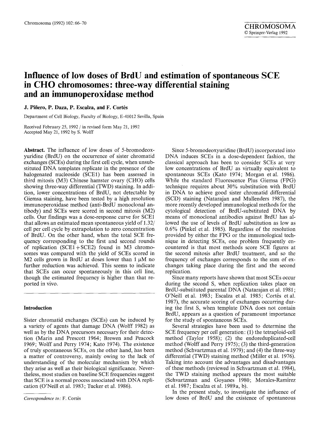 Influence of low doses of BrdU and estimation of spontaneous SCE in CHO chromosomes: three-way differential staining and an immunoperoxidase method by Unknown