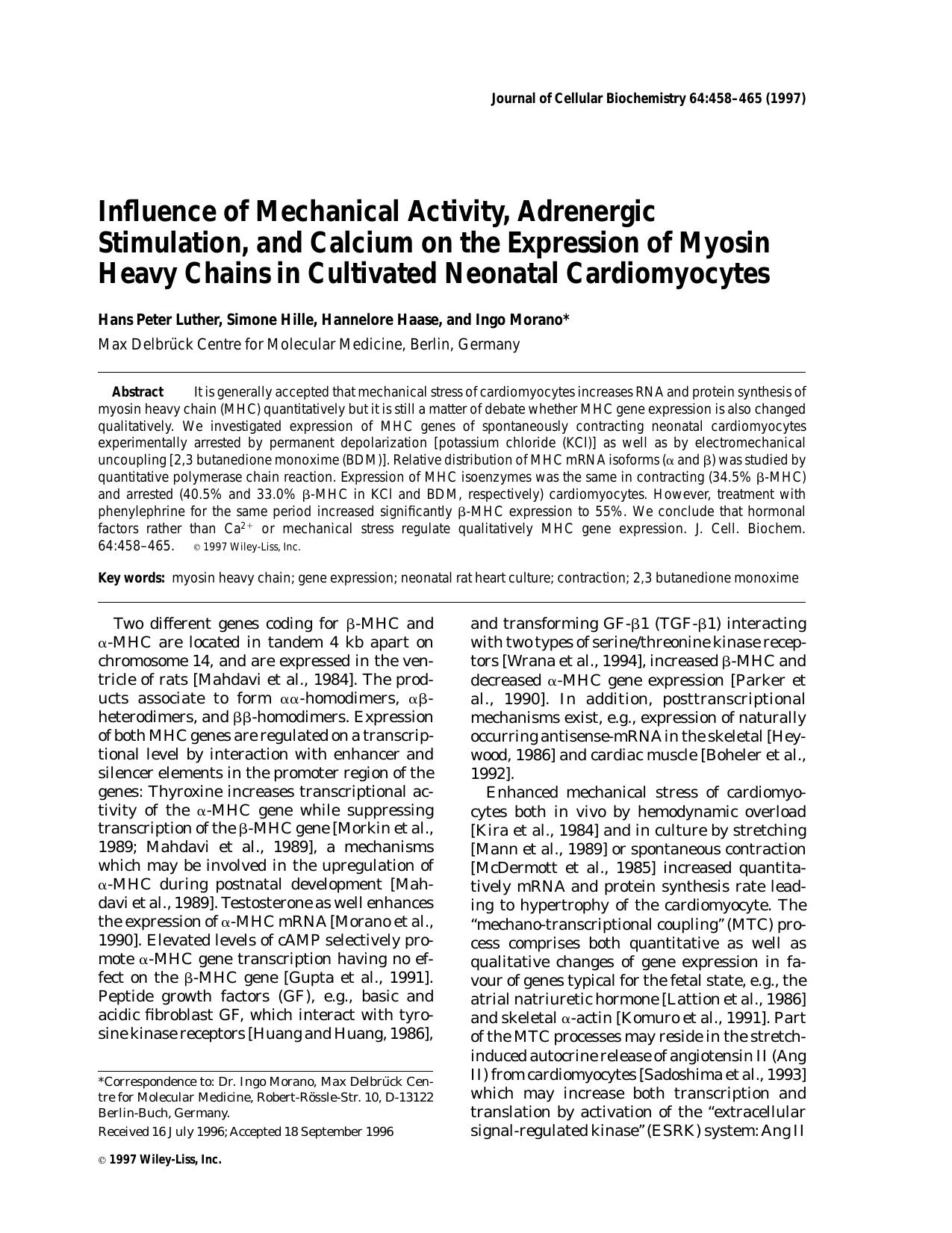 Influence of mechanical activity, adrenergic stimulation, and calcium on the expression of myosin heavy chains in cultivated neonatal cardiomyocytes by Unknown