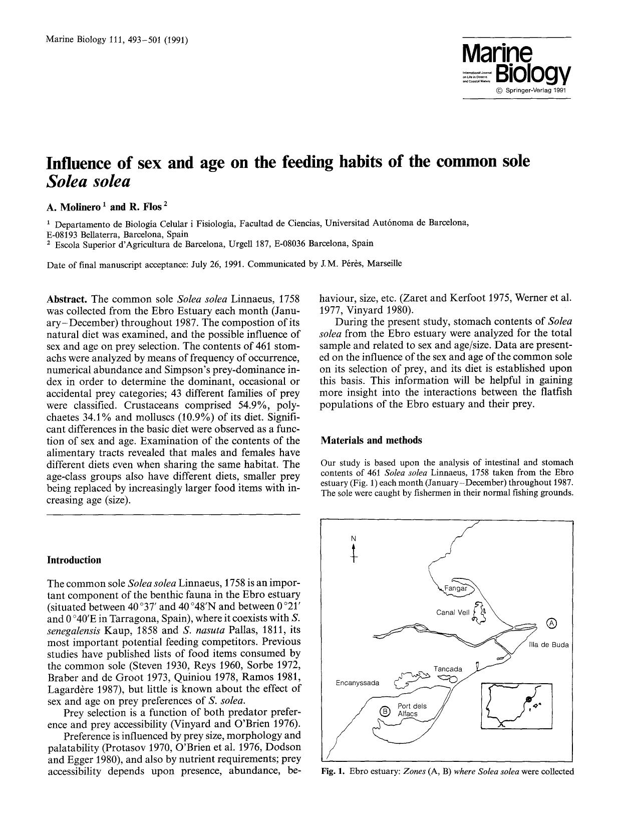 Influence of sex and age on the feeding habits of the common sole <Emphasis Type="Italic">Solea solea <Emphasis> by Unknown