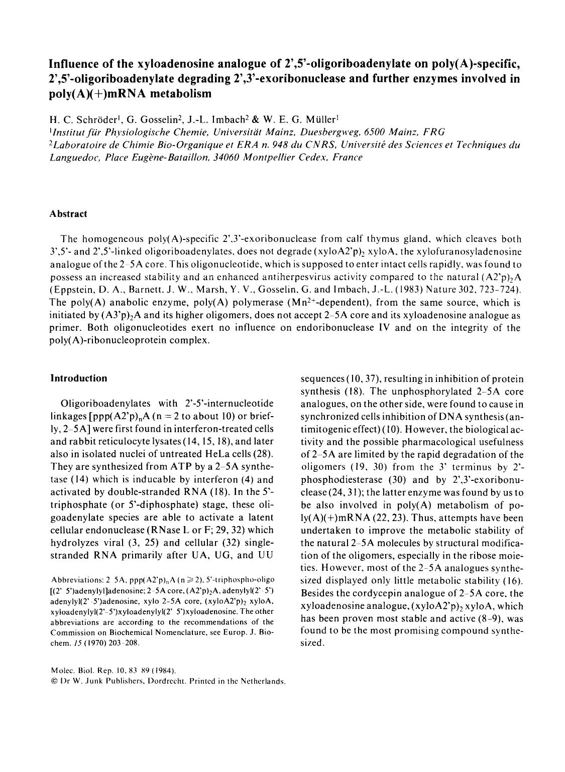 Influence of the xyloadenosine analogue of 2&#x2032;,5&#x2032;-oligoriboadenylate on poly(A)-specific, 2&#x2032;,5&#x2032;-oligoriboadenylate degrading 2&#x2032;,3&#x2032;-exoribon by Unknown