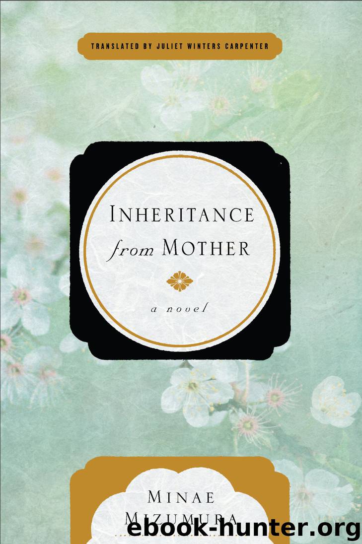 Inheritance from Mother by Minae Mizumura