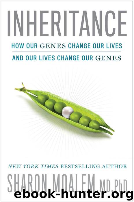Inheritance: How Our Genes Change Our Lives--and Our Lives Change Our Genes by Sharon Moalem