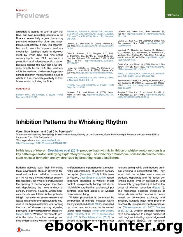Inhibition Patterns the Whisking Rhythm by Varun Sreenivasan & Carl C.H. Petersen