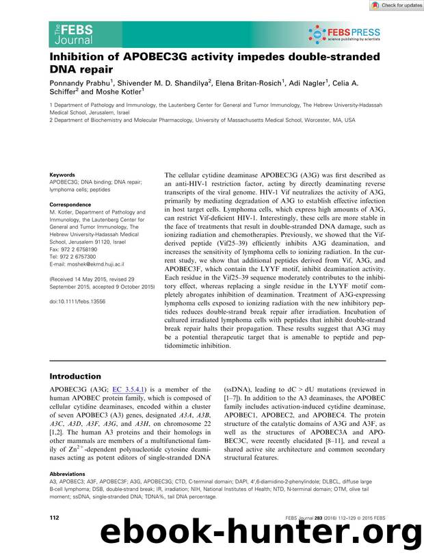 Inhibition of APOBEC3G activity impedes doubleâstranded DNA repair by Unknown