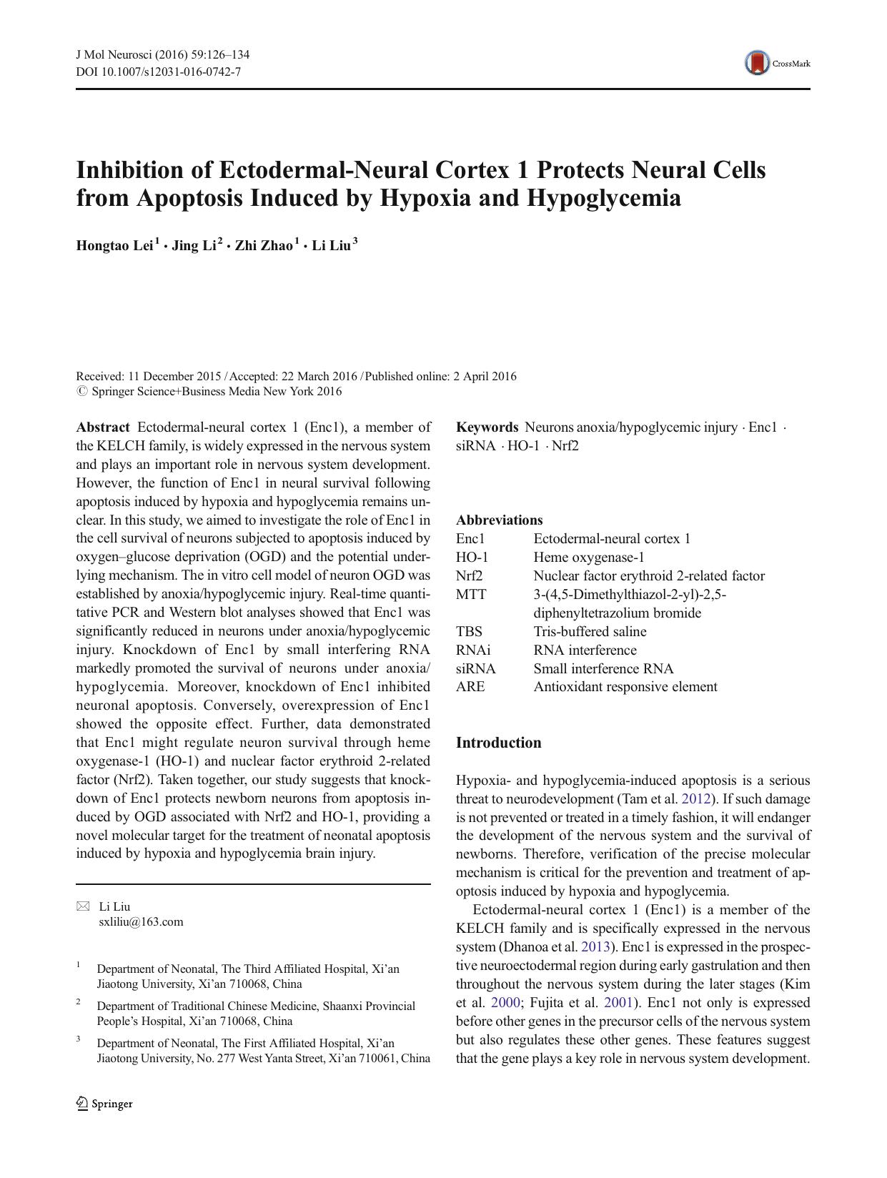 Inhibition of Ectodermal-Neural Cortex 1 Protects Neural Cells from Apoptosis Induced by Hypoxia and Hypoglycemia by Hongtao Lei & Jing Li & Zhi Zhao & Li Liu