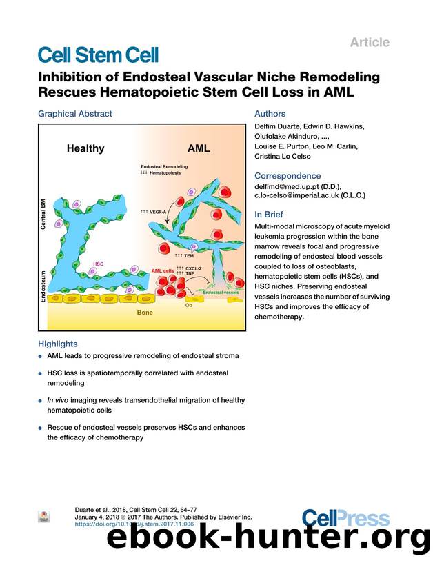Inhibition of Endosteal Vascular Niche Remodeling Rescues Hematopoietic Stem Cell Loss in AML by unknow
