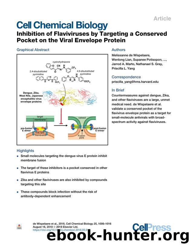 Inhibition of Flaviviruses by Targeting a Conserved Pocket on the Viral Envelope Protein by unknow