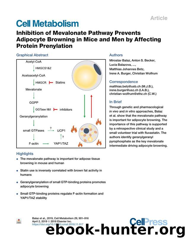 Inhibition of Mevalonate Pathway Prevents Adipocyte Browning in Mice and Men by Affecting Protein Prenylation by unknow