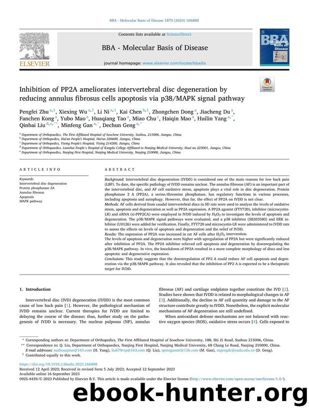 Inhibition of PP2A ameliorates intervertebral disc degeneration by reducing annulus fibrosus cells apoptosis via p38MAPK signal pathway by unknow
