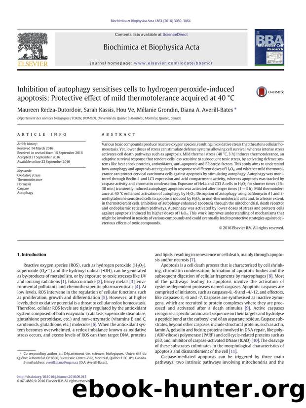 Inhibition of autophagy sensitises cells to hydrogen peroxide-induced apoptosis: Protective effect of mild thermotolerance acquired at 40Â°C by Maureen Redza-Dutordoir & Sarah Kassis & Hou Ve & Mélanie Grondin & Diana A. Averill-Bates