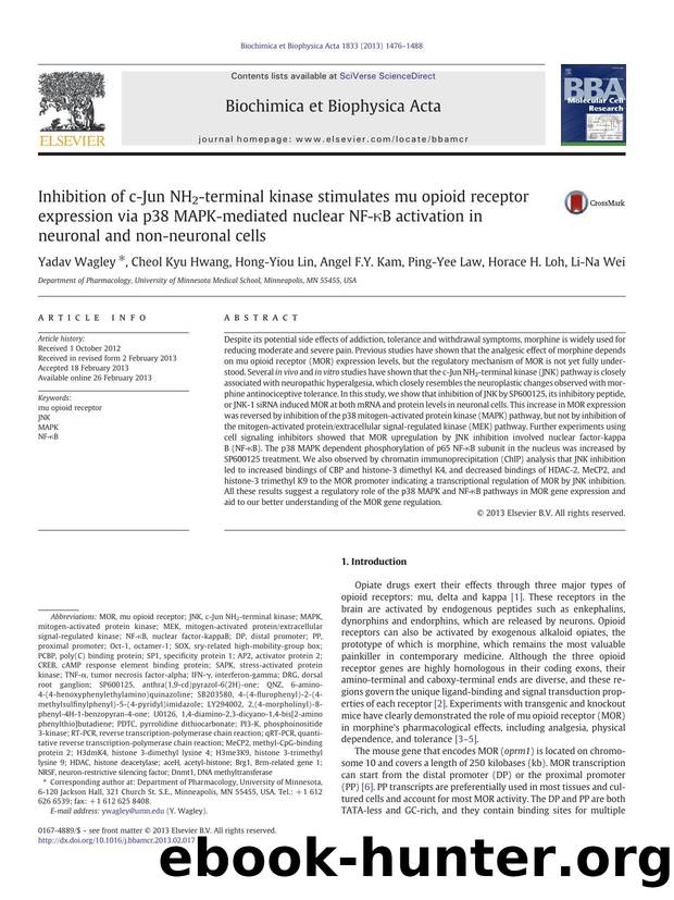 Inhibition of c-Jun NH2-terminal kinase stimulates mu opioid receptor expression via p38 MAPK-mediated nuclear NF-ÎºB activation in neuronal and non-neuronal cells by unknow