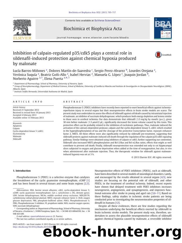 Inhibition of calpain-regulated p35cdk5 plays a central role in sildenafil-induced protection against chemical hypoxia produced by malonate by unknow