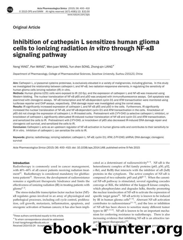 Inhibition of cathepsin L sensitizes human glioma cells to ionizing radiation in vitro through NF-ÎºB signaling pathway by Neng Yang & Pan Wang & Wen-juan Wang & Yun-zhen Song & Zhong-qin Liang