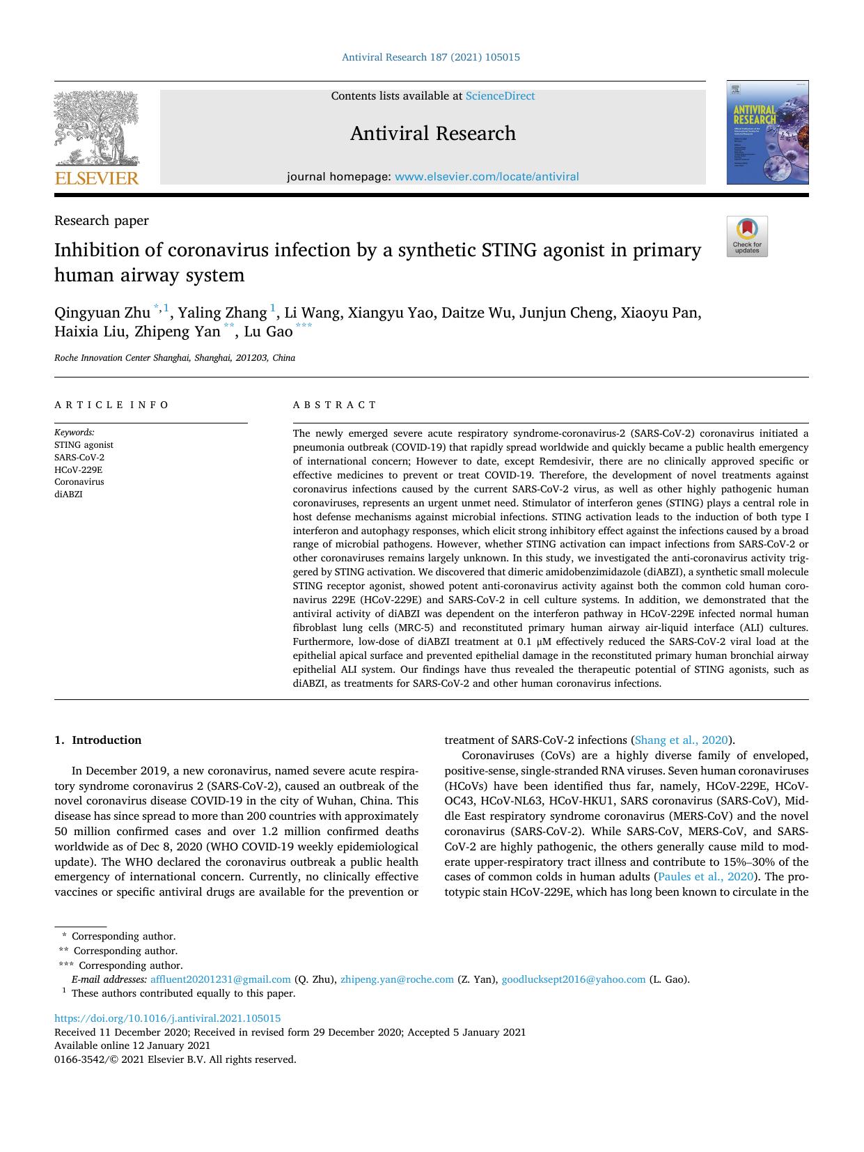 Inhibition of coronavirus infection by a synthetic STING agonist in primary human airway system by unknow