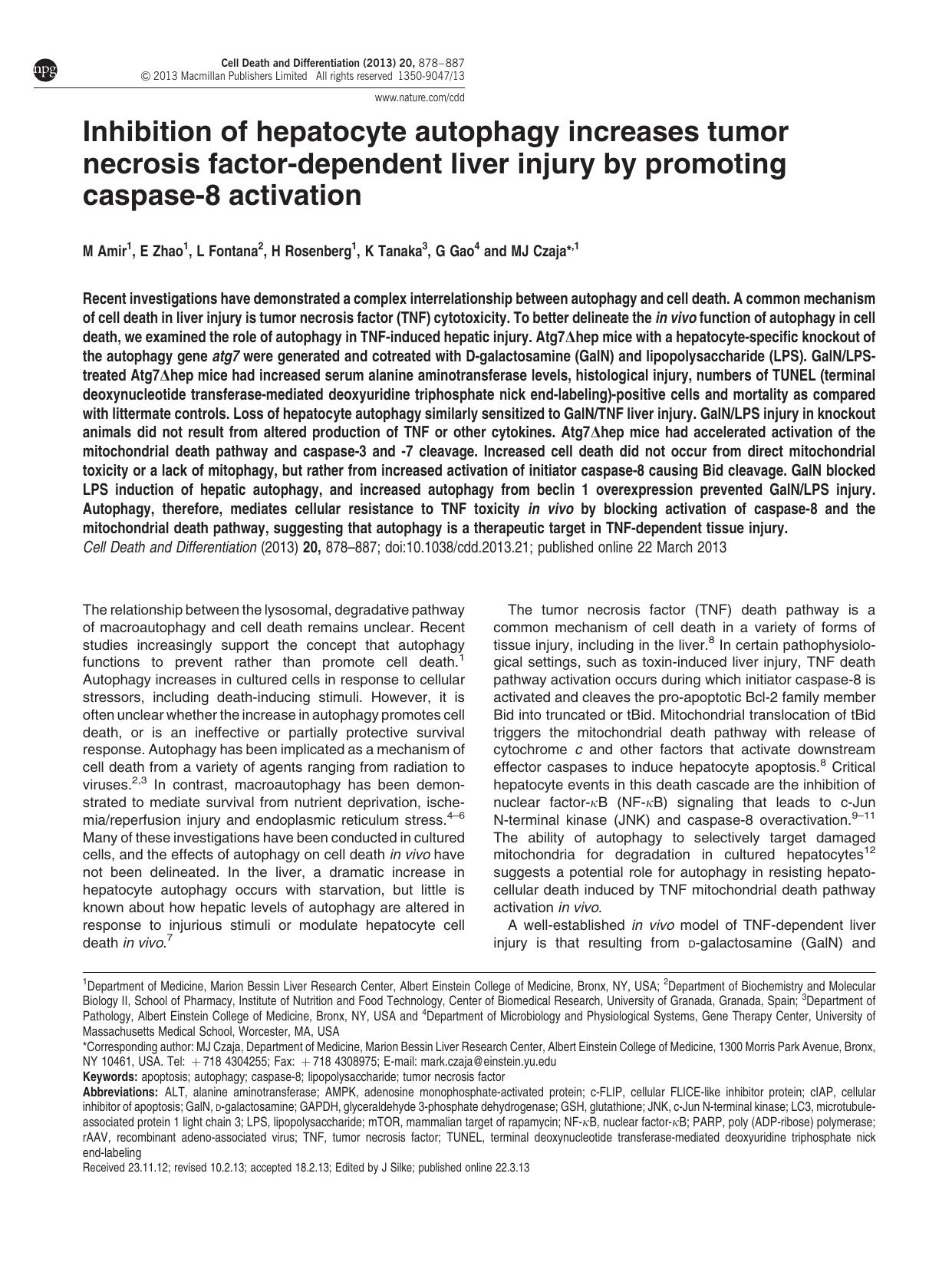 Inhibition of hepatocyte autophagy increases tumor necrosis factor-dependent liver injury by promoting caspase-8 activation by M Amir & E Zhao & L Fontana & H Rosenberg & K Tanaka & G Gao & M J Czaja