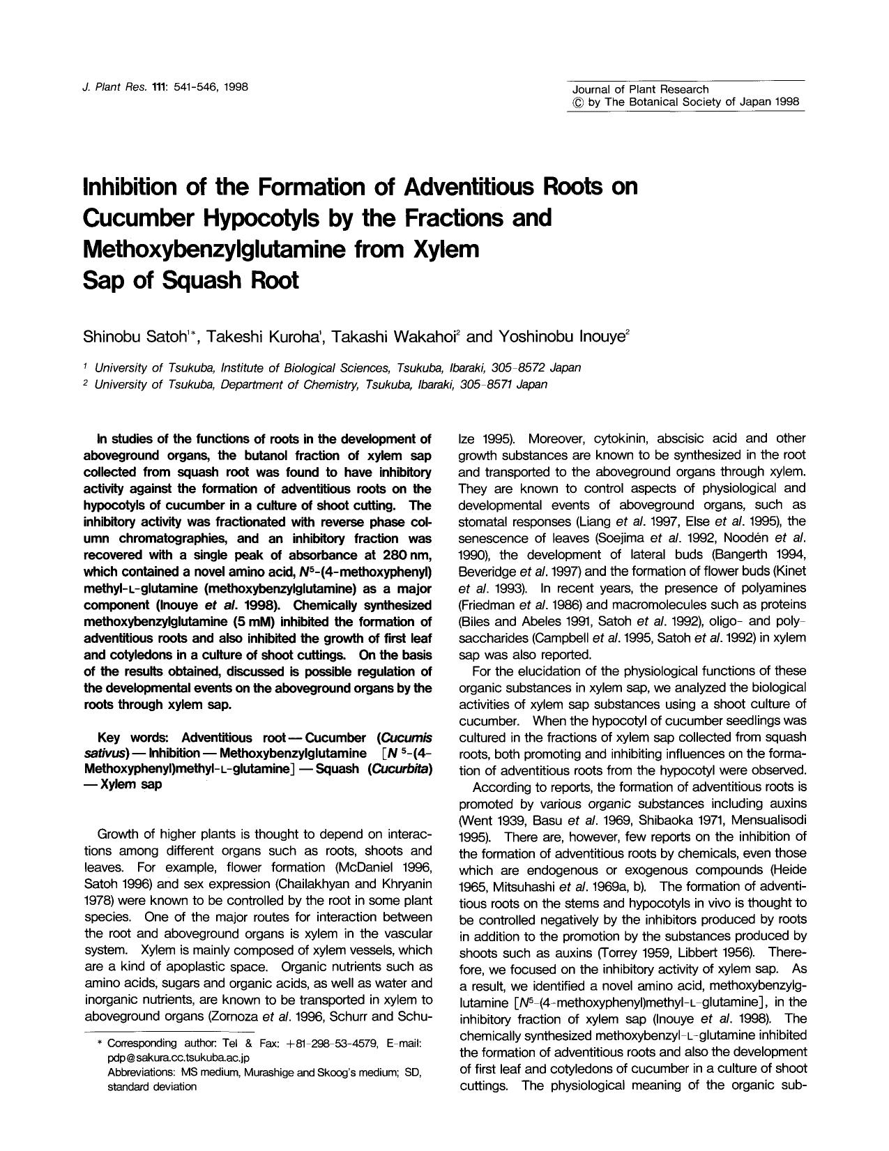 Inhibition of the formation of adventitious roots on cucumber hypocotyls by the fractions and methoxybenzylglutamine from xylem sap of squash root by Unknown