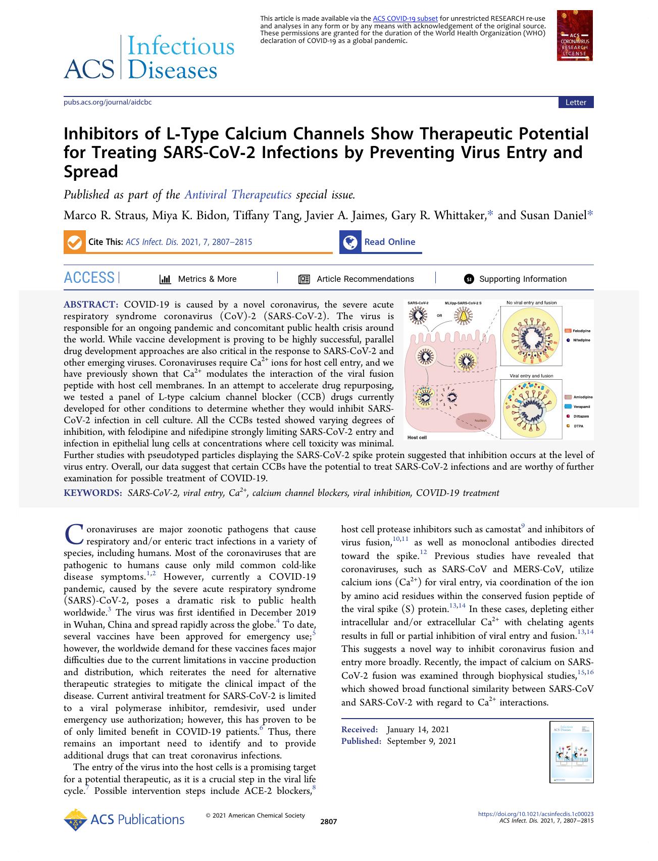 Inhibitors of L-Type Calcium Channels Show Therapeutic Potential for Treating SARS-CoV-2 Infections by Preventing Virus Entry and Spread by Marco R. Straus Miya K. Bidon Tiffany Tang Javier A. Jaimes Gary R. Whittaker and Susan Daniel