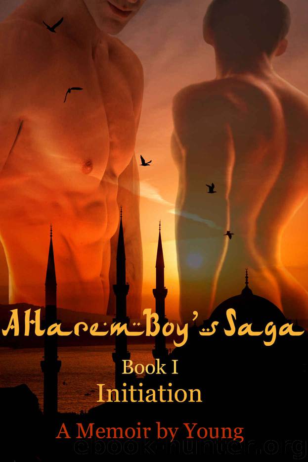 Initiation (A Harem Boy's Saga Book 1) by Young