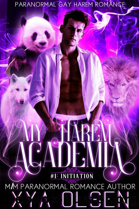 Initiation (My Harem Academia, #1) by Xya Olsen