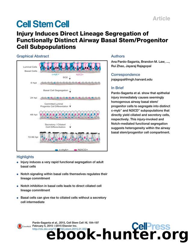Injury Induces Direct Lineage Segregation of Functionally Distinct Airway Basal StemProgenitor Cell Subpopulations by unknow