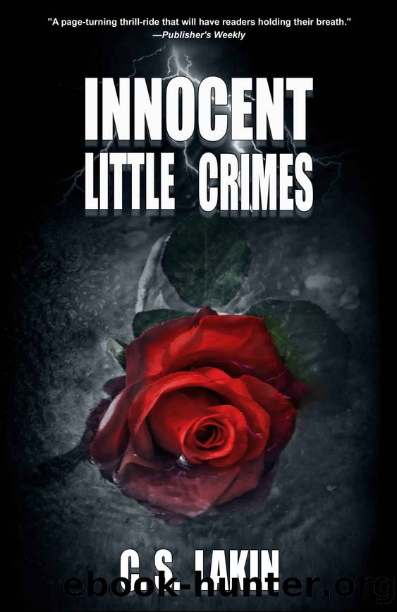 Innocent Little Crimes by C S Lakin