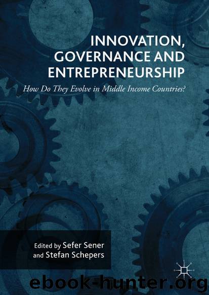 Innovation, Governance and Entrepreneurship: How Do They Evolve in Middle Income Countries? by Sefer Şener & Stefan Schepers