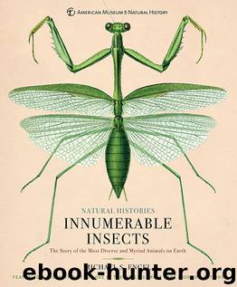 Innumerable Insects by Michael S. Engel