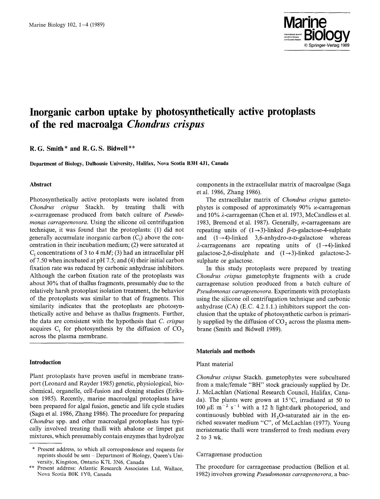 Inorganic carbon uptake by photosynthetically active protoplasts of the red macroalga <Emphasis Type="Italic">Chondrus crispus<Emphasis> by Unknown