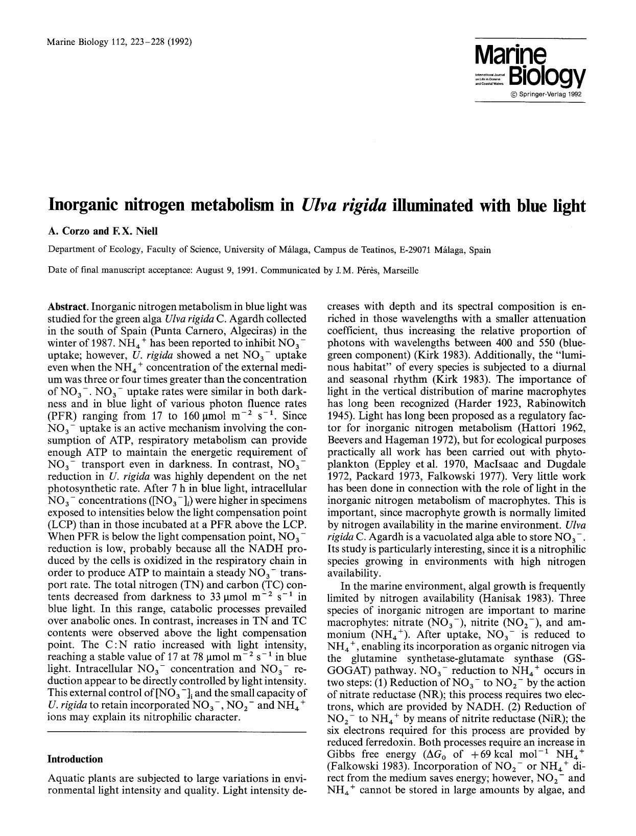 Inorganic nitrogen metabolism in <Emphasis Type="Italic">Ulva rigida <Emphasis> illuminated with blue light by Unknown