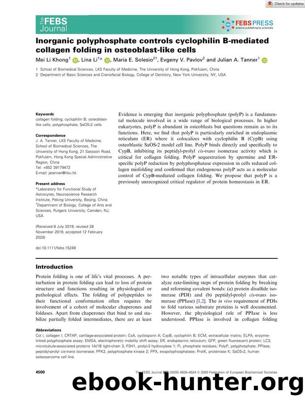 Inorganic polyphosphate controls cyclophilin Bâmediated collagen folding in osteoblastâlike cells by Unknown